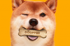 巴西汉堡王客户现在可以使用狗狗币购买肉味狗饼干