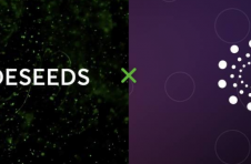 Nodeseeds 推出三层会员制度，以确保项目的透明度和公平分配