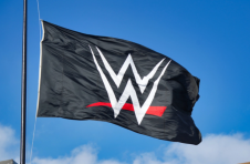 Fox Entertainment 和 WWE Ink 达成多年分销独家 NFT 的协议